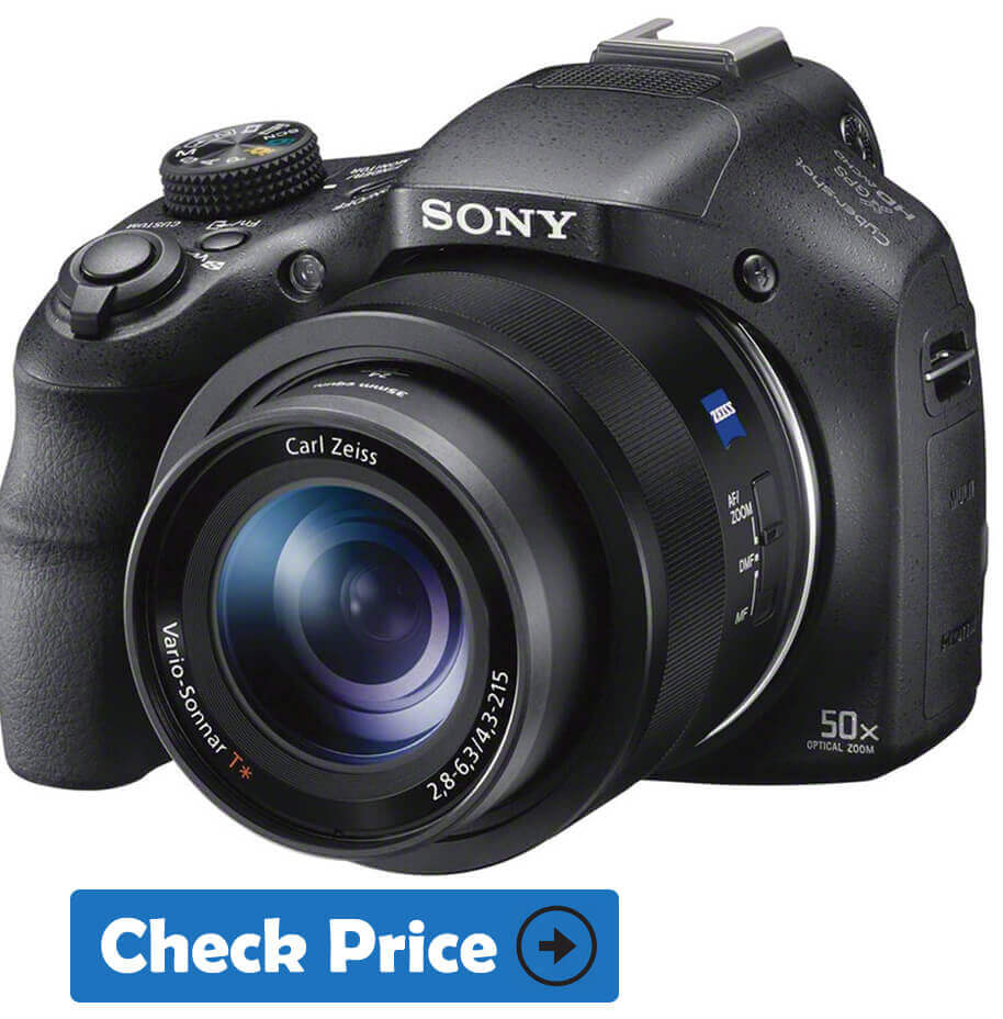 Sony DSCH300 Best Digital Camera Under 200
