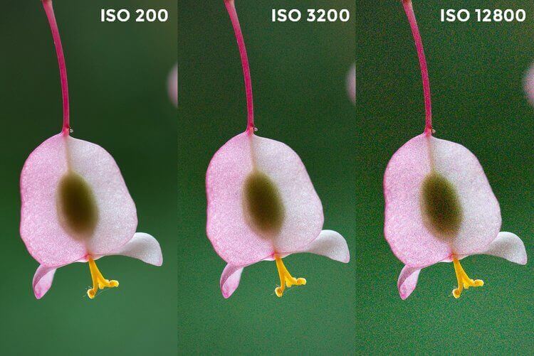 comparison sensitivity ISO