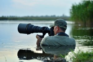 Best Cameras for Wildlife Photography 2022 (1)