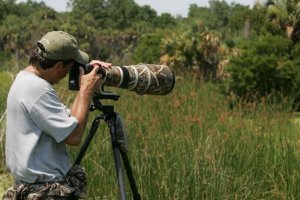 Best Cameras for Wildlife Photography 2022