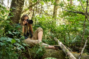 Why Canon Cameras is the Choice for Wildlife Photography