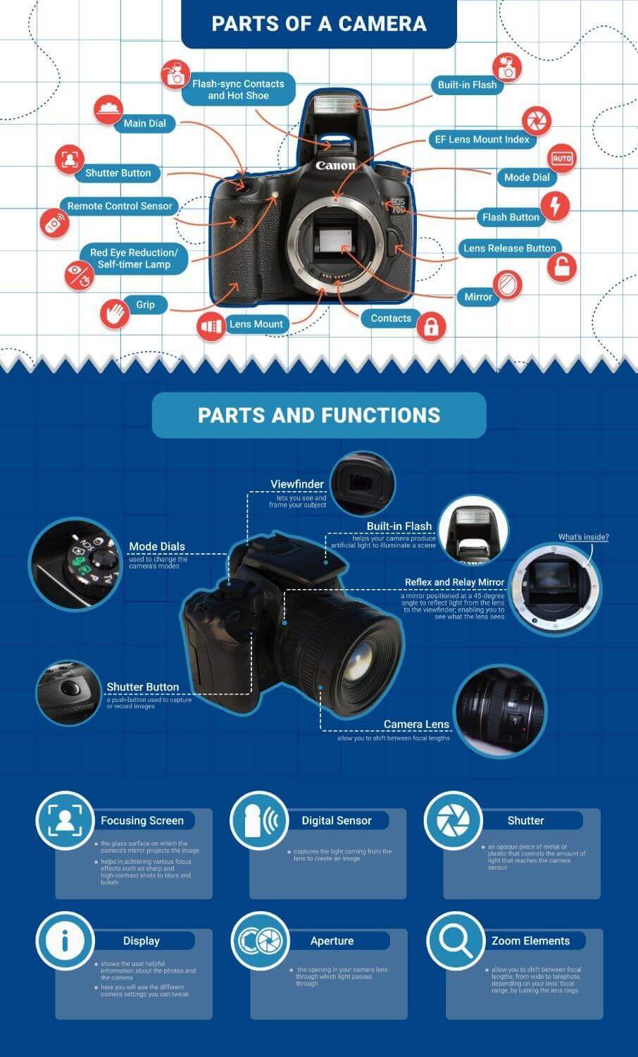 sony camera infographics