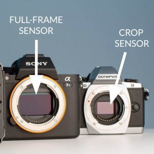 Cropped sensor or full-frame sensor